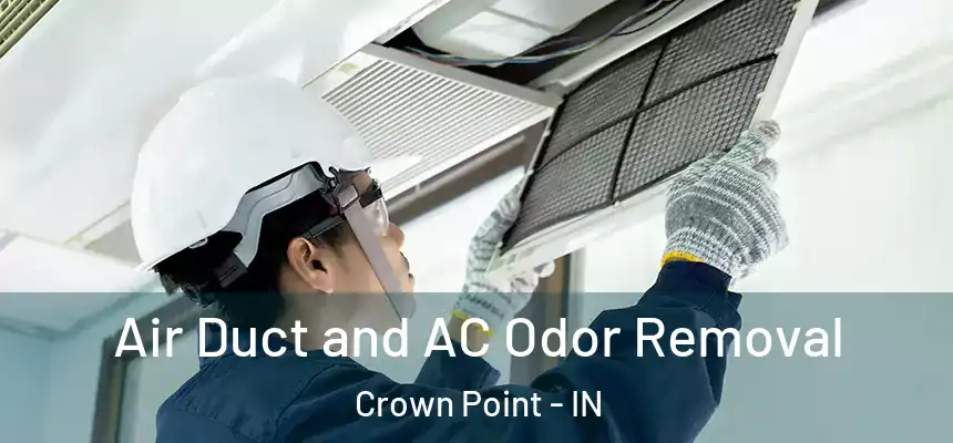 Air Duct and AC Odor Removal Crown Point - IN