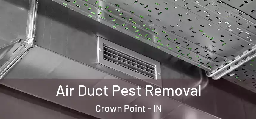  Air Duct Pest Removal Crown Point - IN