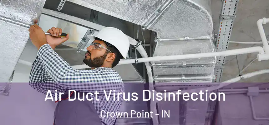Air Duct Virus Disinfection Crown Point - IN