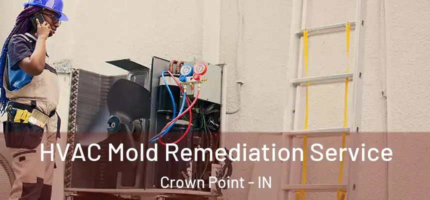  HVAC Mold Remediation Service Crown Point - IN