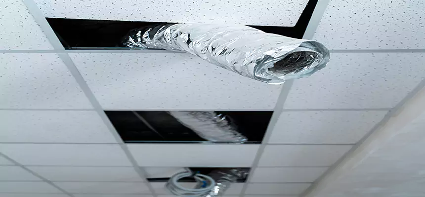 Our Air Duct Pet Hair Removal Services in Crown Point, IN