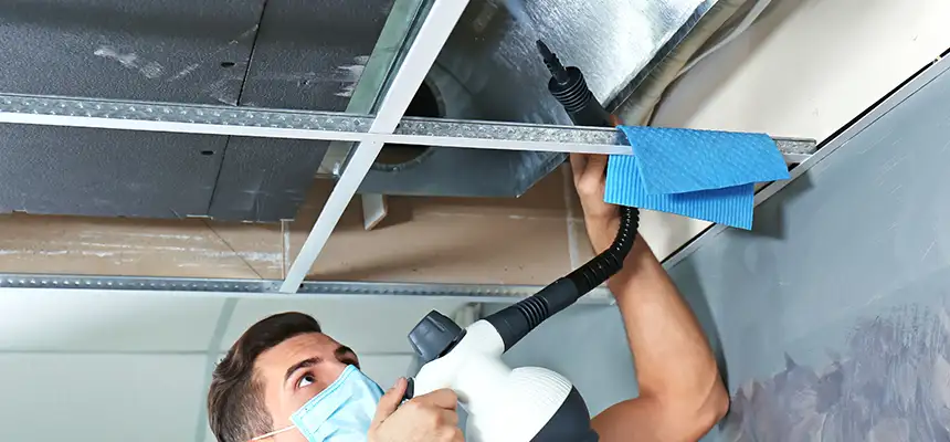 Our Air Duct Rodent Removal Services in Crown Point, IN