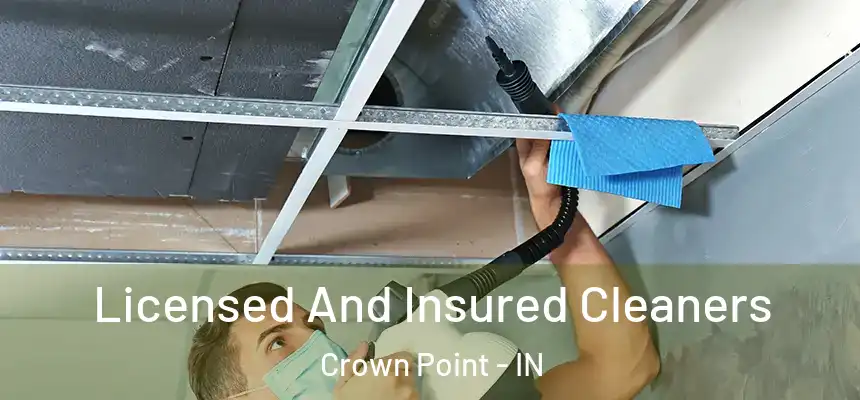  Licensed And Insured Cleaners Crown Point - IN