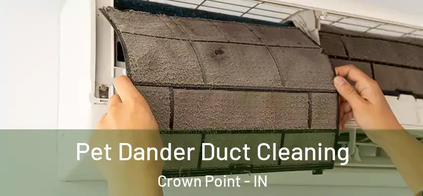  Pet Dander Duct Cleaning Crown Point - IN