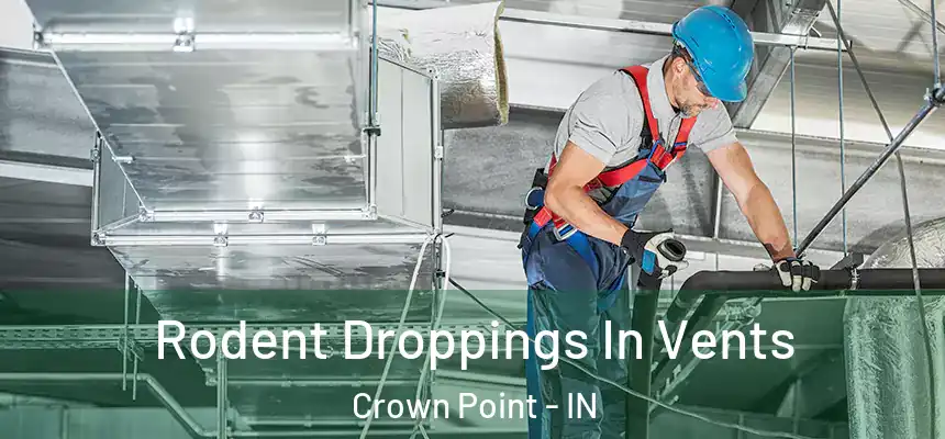  Rodent Droppings In Vents Crown Point - IN