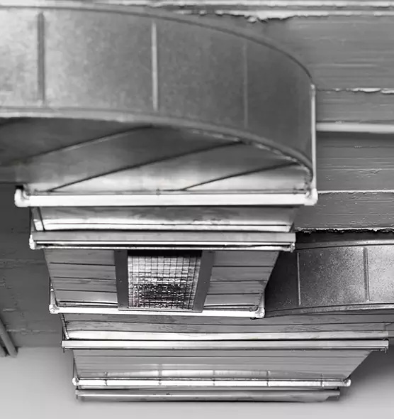 Professional Air Duct Pet Hair Removal in Crown Point, IN