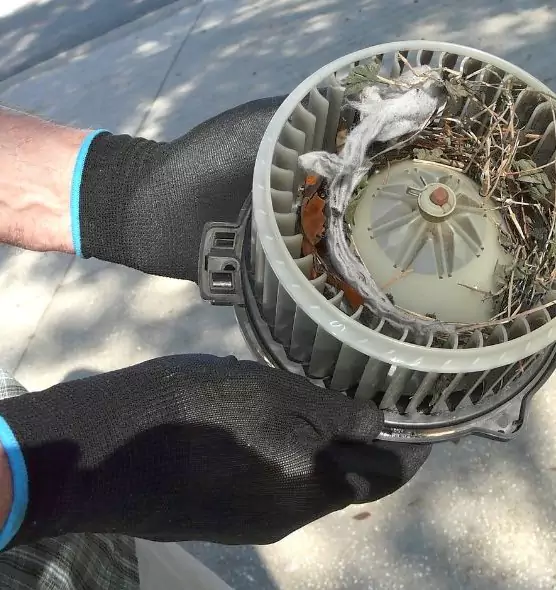 About Air Duct Rat Removal in Crown Point, IN