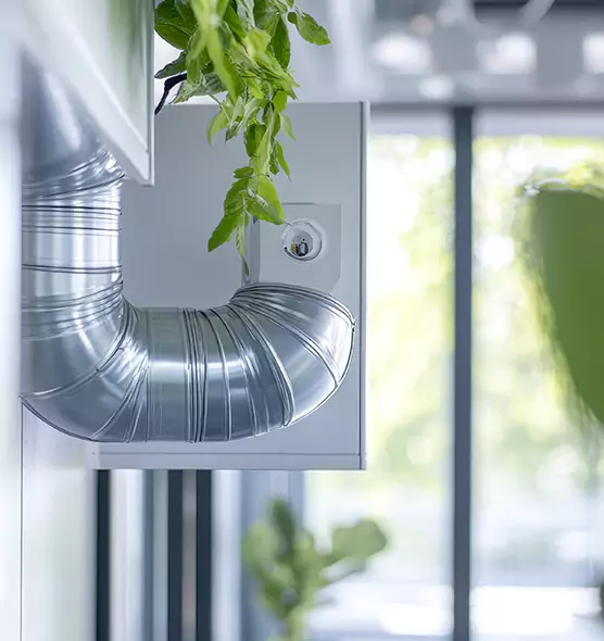 Professional Eco-Safe Dryer Vent Cleaning in Crown Point, IN