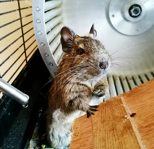 Why Homeowners & Businesses Trust Us Crown Point, IN